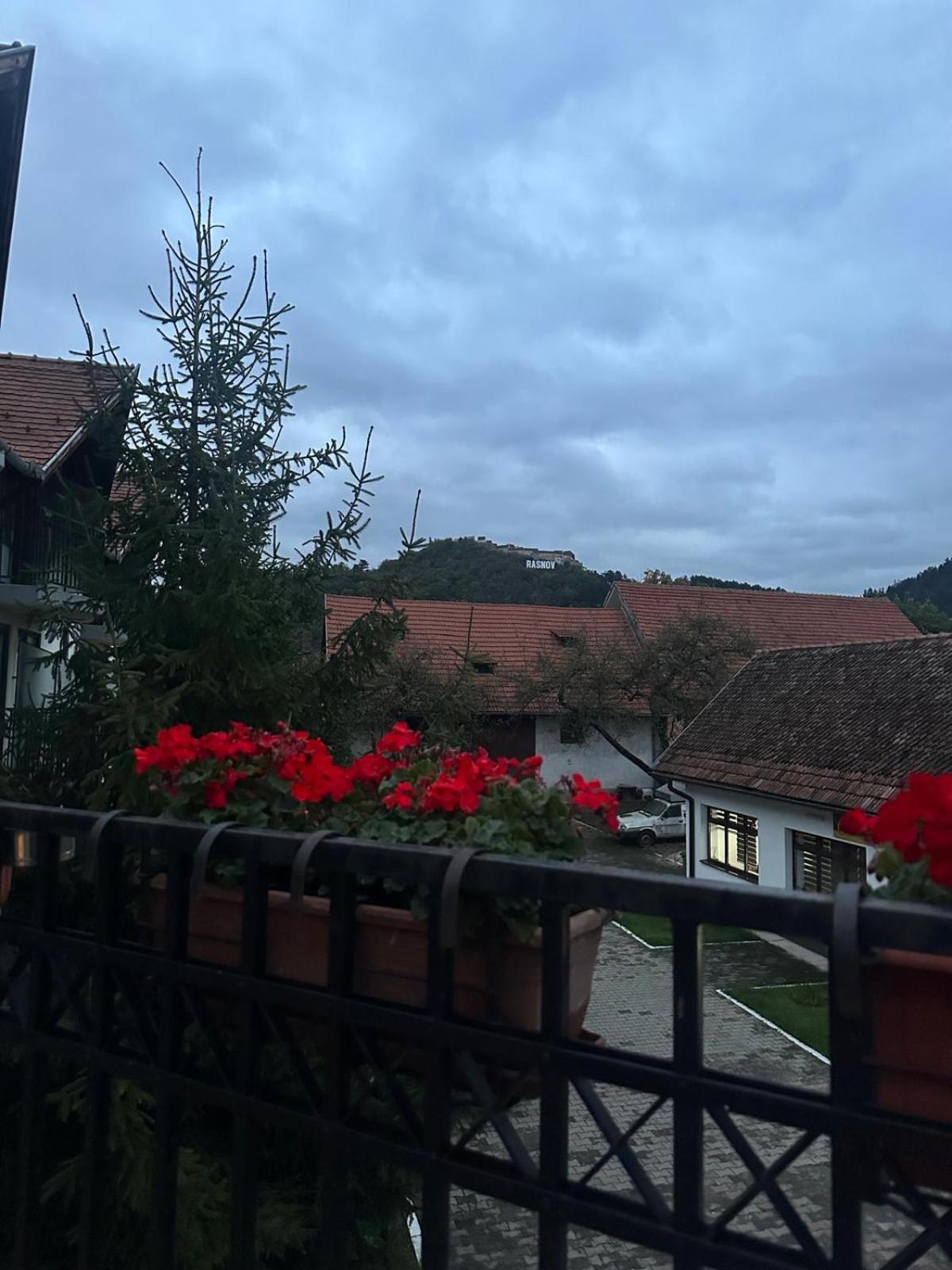 Pensiunea Casa Saxonia Râșnov Zewnętrze zdjęcie