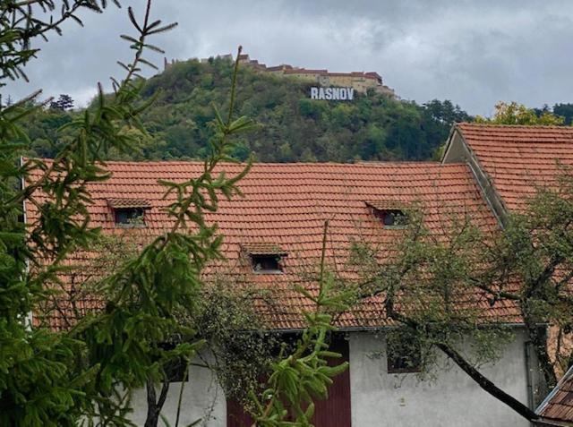 Pensiunea Casa Saxonia Râșnov Zewnętrze zdjęcie