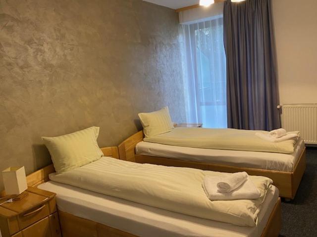 Pensiunea Casa Saxonia Râșnov Zewnętrze zdjęcie